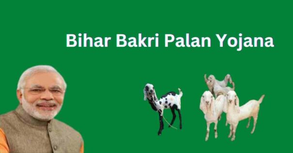 Bihar Bakri Palan Yojana