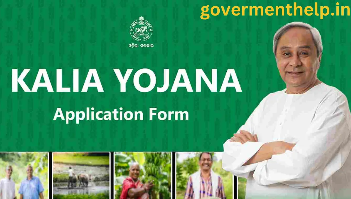 kalia yojana