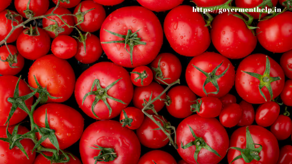 Tomato Rasam