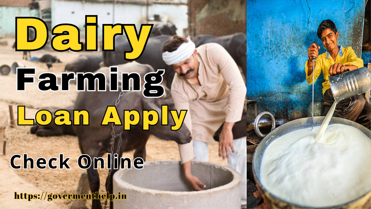 Dairy Farming Loan