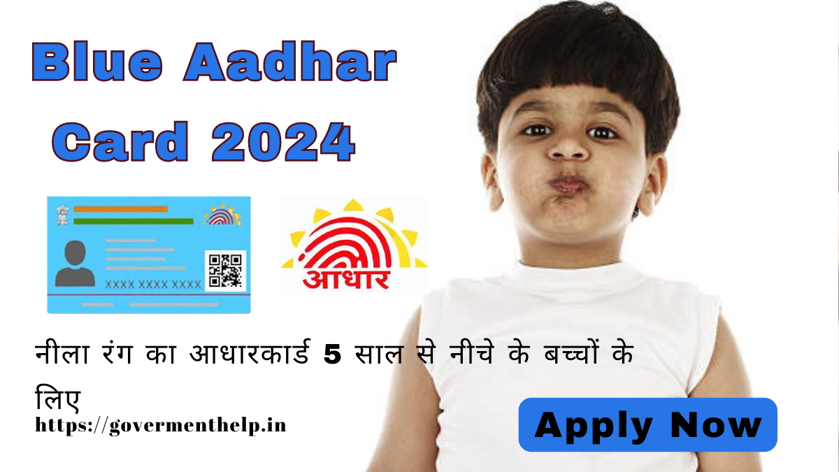 Blue Aadhar Card