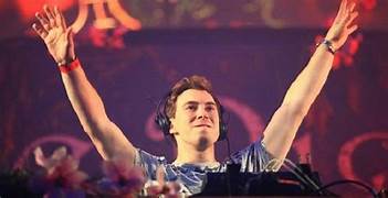 Hardwell Net Worth