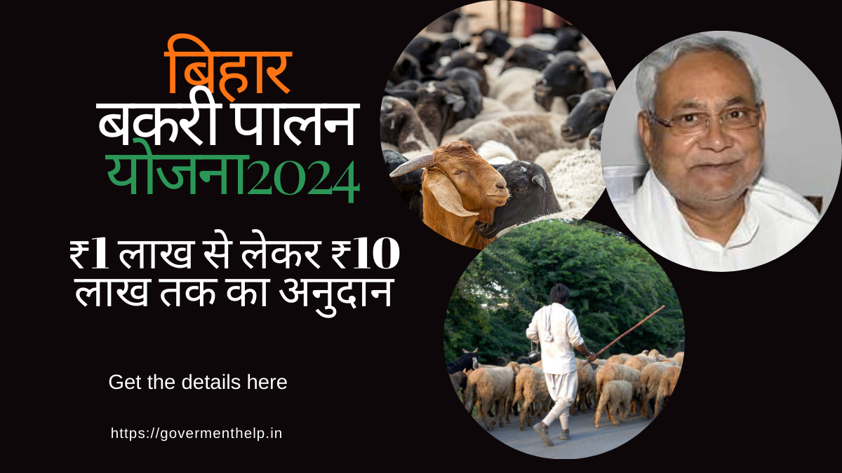 Bihar Bakri Palan Yojana 2024