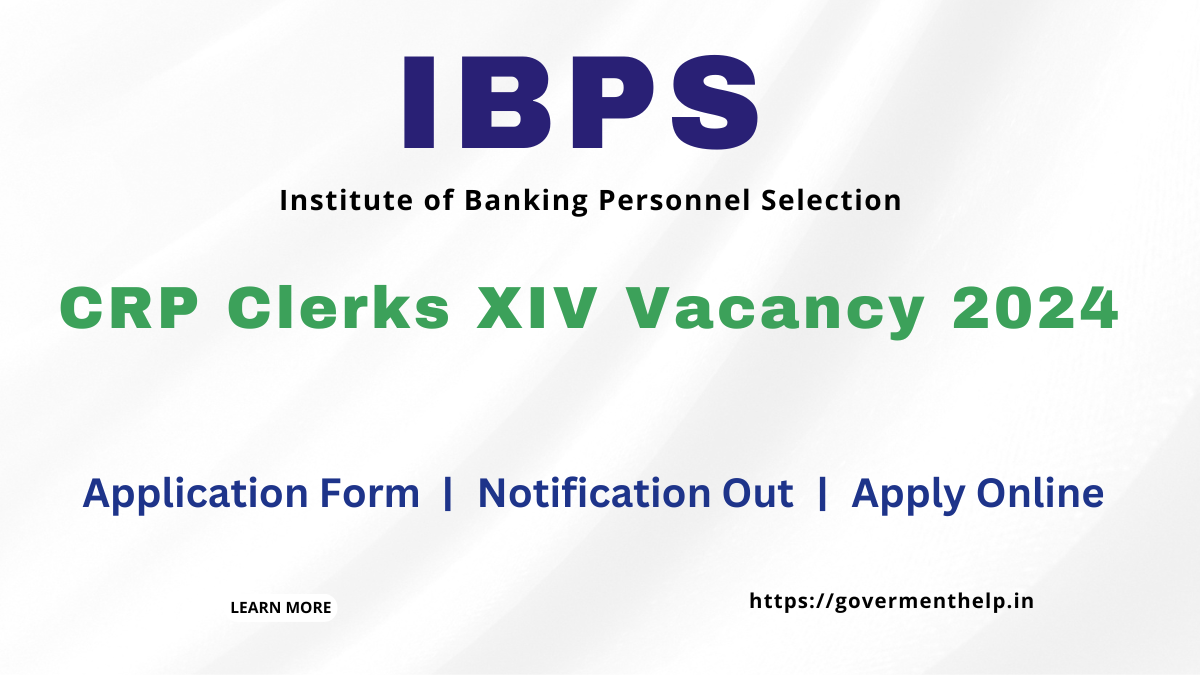 IBPS CRP Clerk XIV vacancy 2024